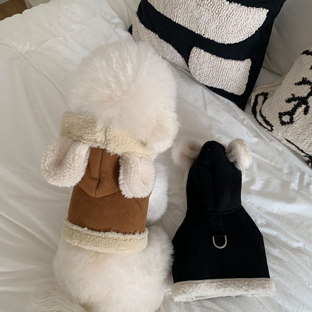 LINE_ALBUM_Frei_251205_5