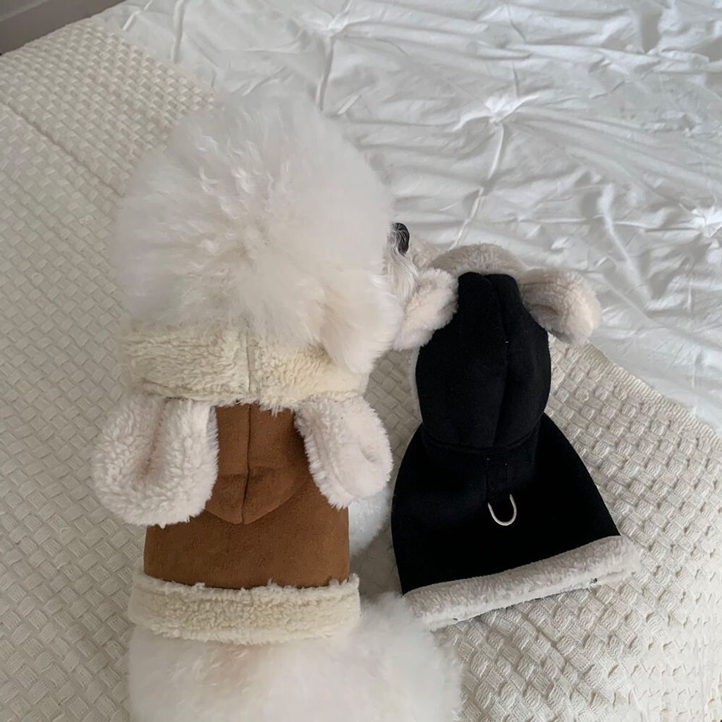 LINE_ALBUM_Frei_251205_6