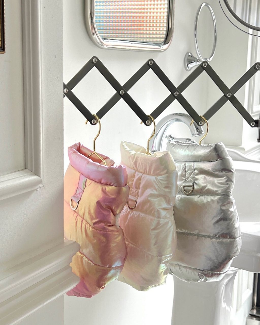 LINE_ALBUM_Petmood_251207_6