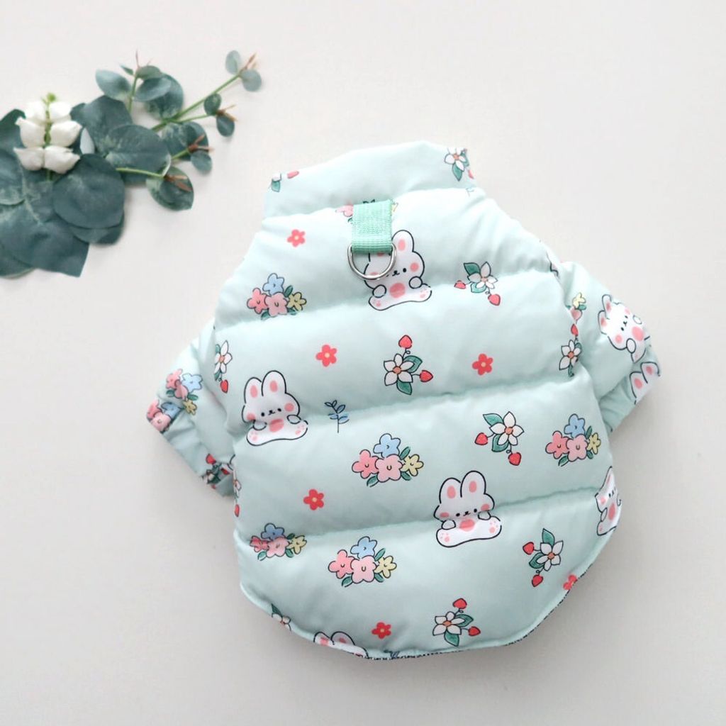 LINE_ALBUM_Honey dog 2_251207_29