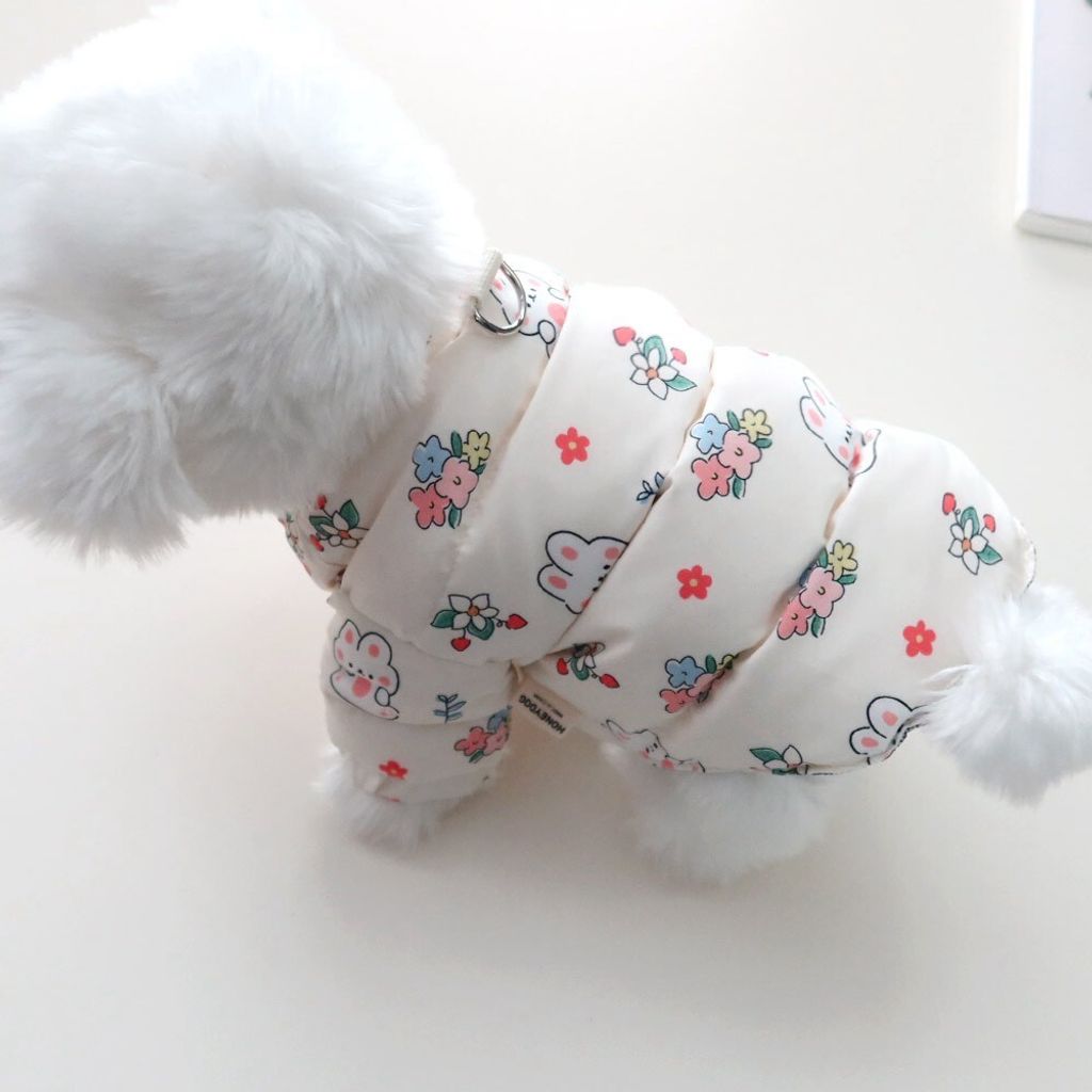 LINE_ALBUM_Honey dog 2_251207_24