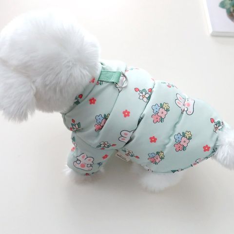 LINE_ALBUM_Honey dog 2_251207_25