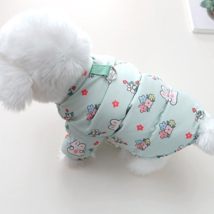 LINE_ALBUM_Honey dog 2_251207_25