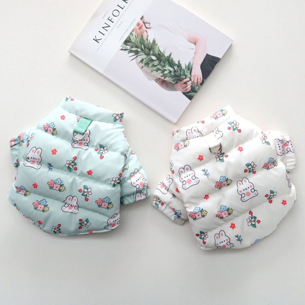 LINE_ALBUM_Honey dog 2_251207_30