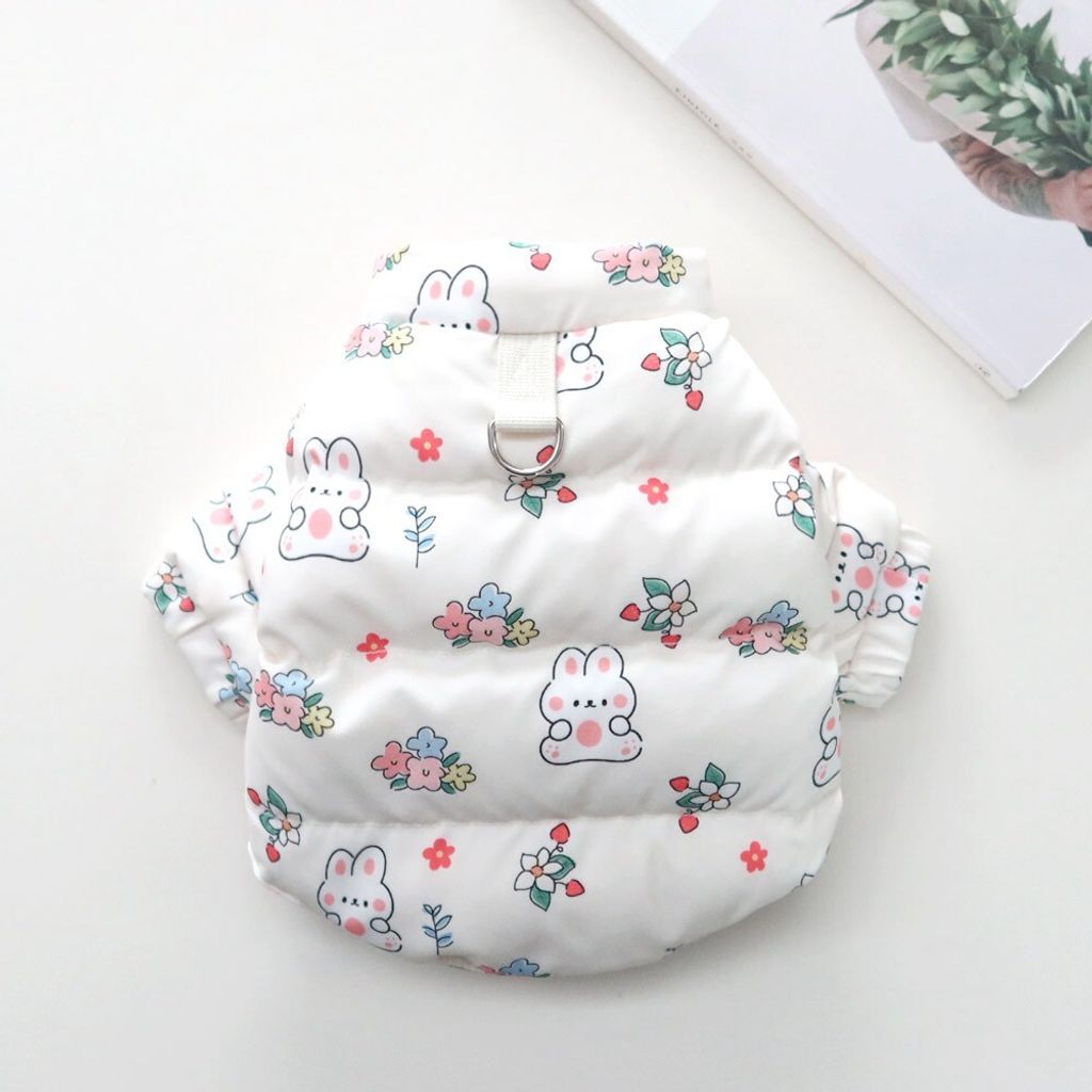 LINE_ALBUM_Honey dog 2_251207_28