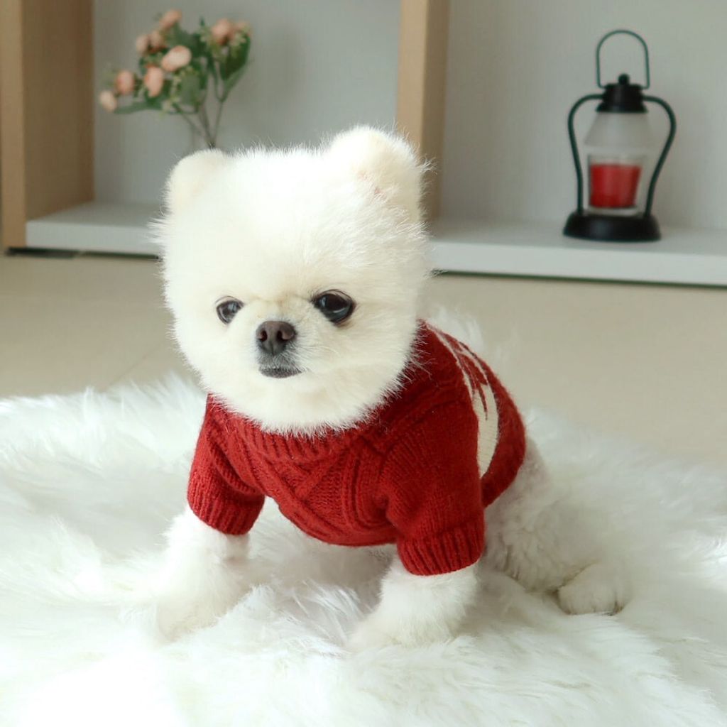 LINE_ALBUM_Honey dog 2_251207_12