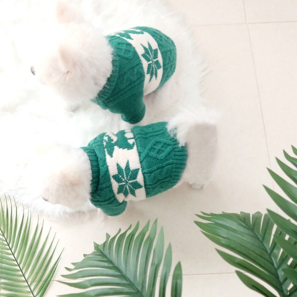 LINE_ALBUM_Honey dog 2_251207_3