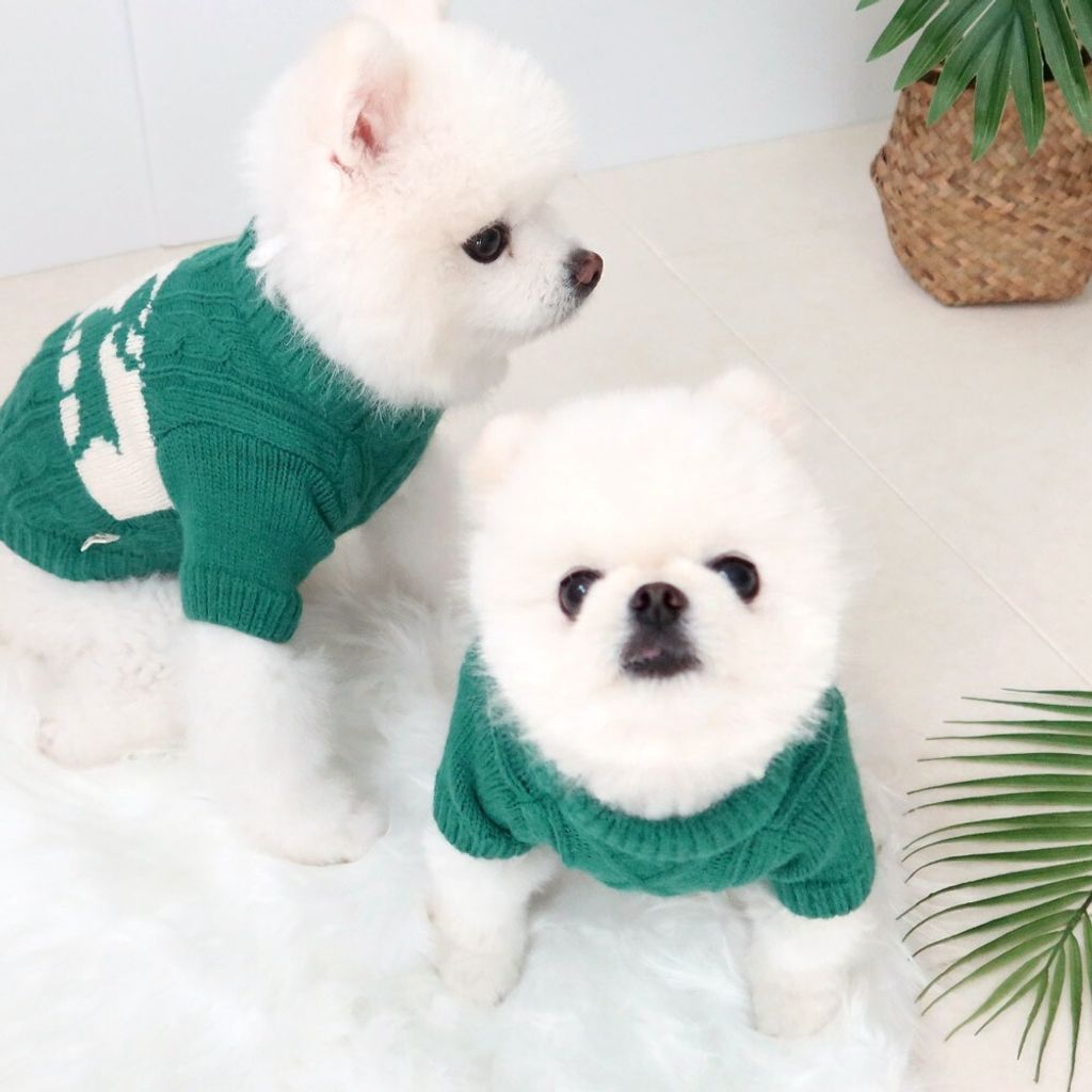 LINE_ALBUM_Honey dog 2_251207_4