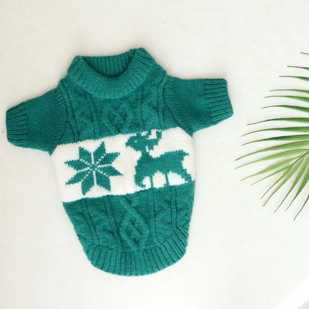 LINE_ALBUM_Honey dog 2_251207_13