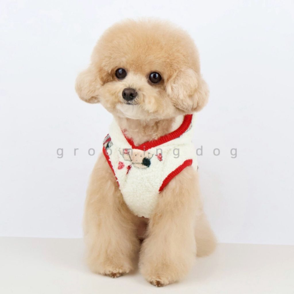 LINE_ALBUM_Grooming dog_251207_18