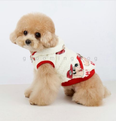 LINE_ALBUM_Grooming dog_251207_19