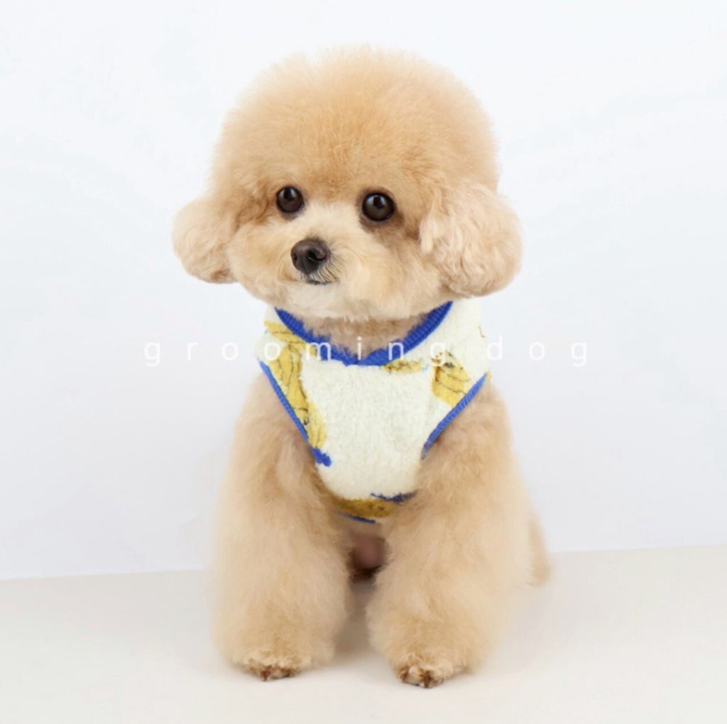 LINE_ALBUM_Grooming dog_251207_13