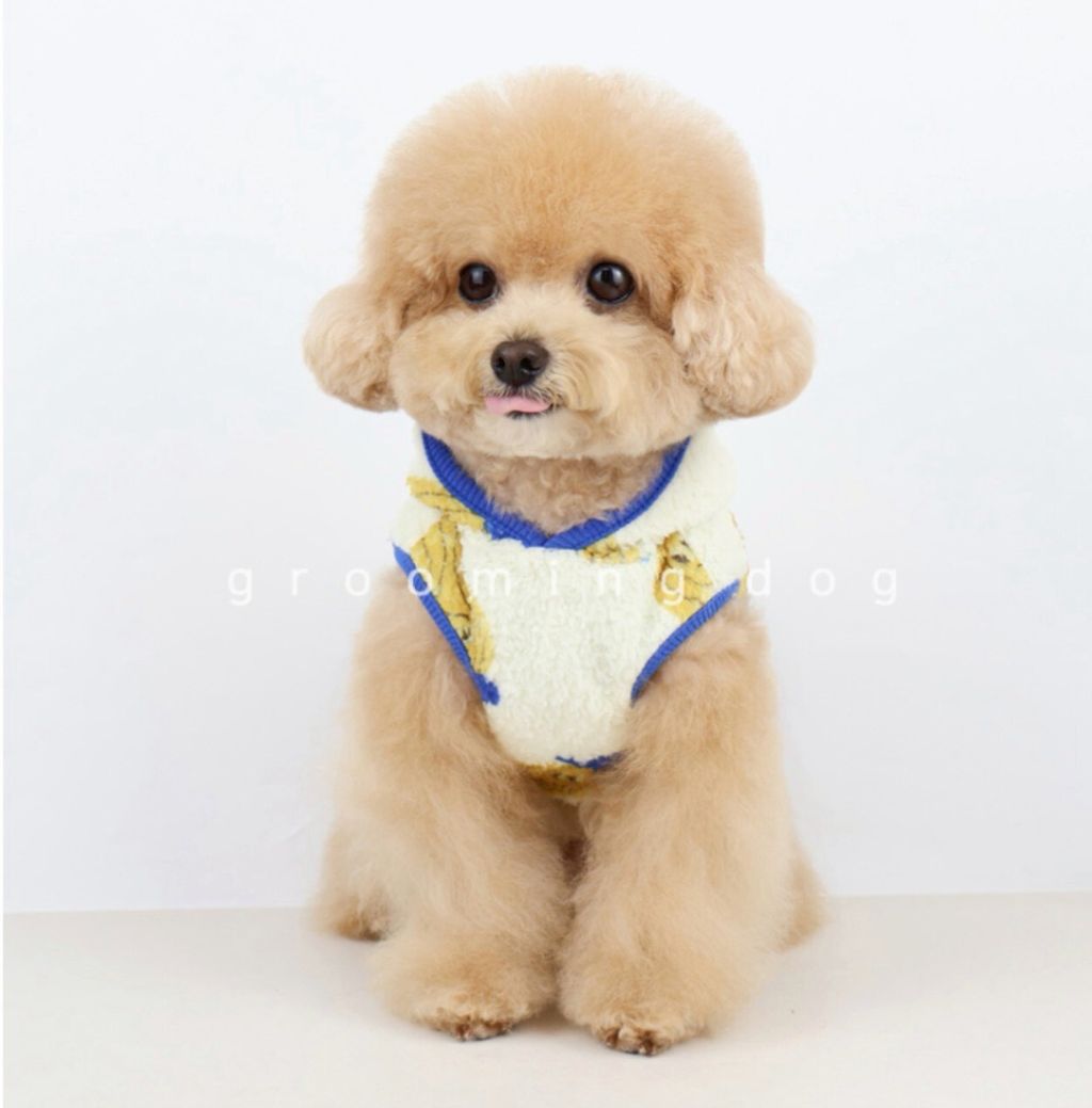 LINE_ALBUM_Grooming dog_251207_14