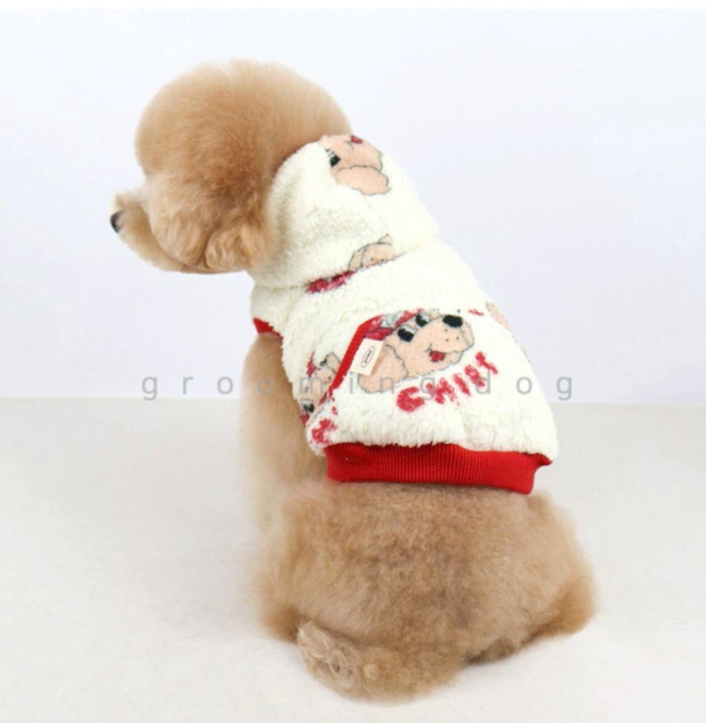 LINE_ALBUM_Grooming dog_251207_10