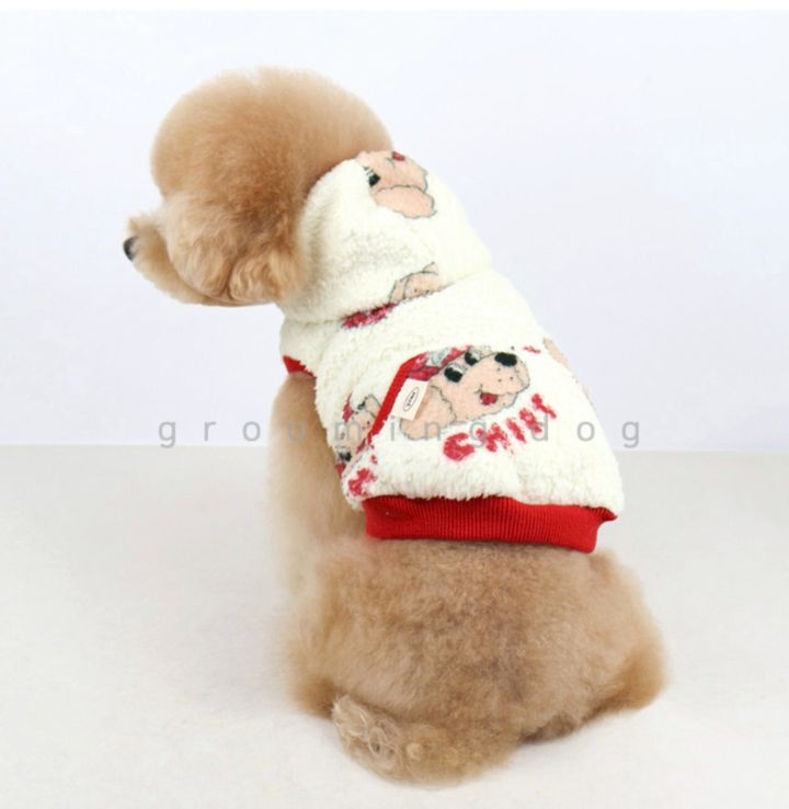 LINE_ALBUM_Grooming dog_251207_10