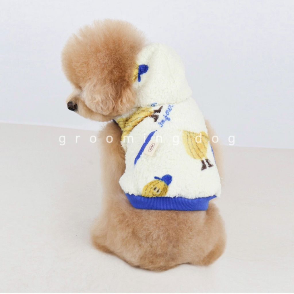 LINE_ALBUM_Grooming dog_251207_6