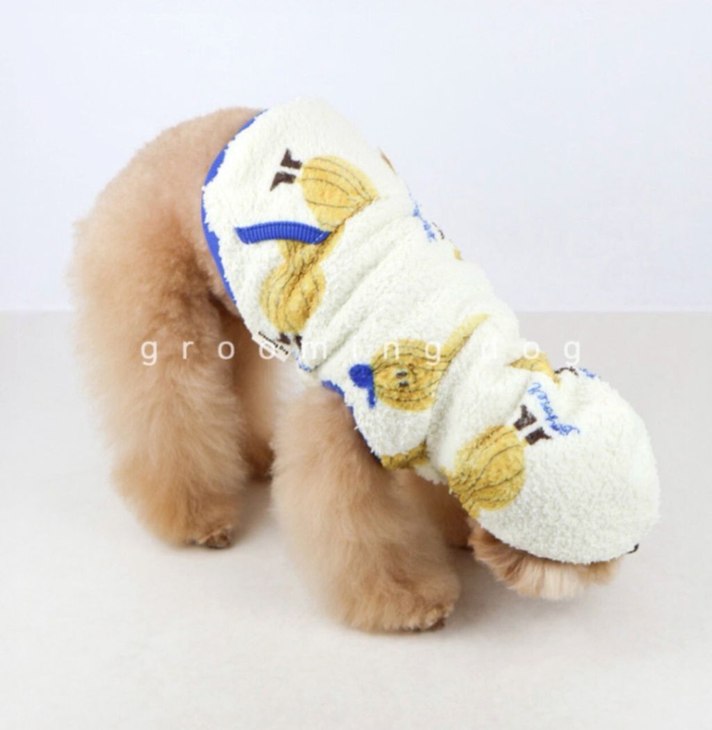 LINE_ALBUM_Grooming dog_251207_7