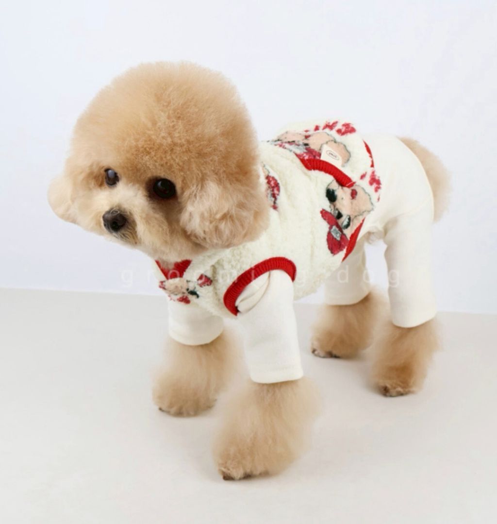 LINE_ALBUM_Grooming dog_251207_21