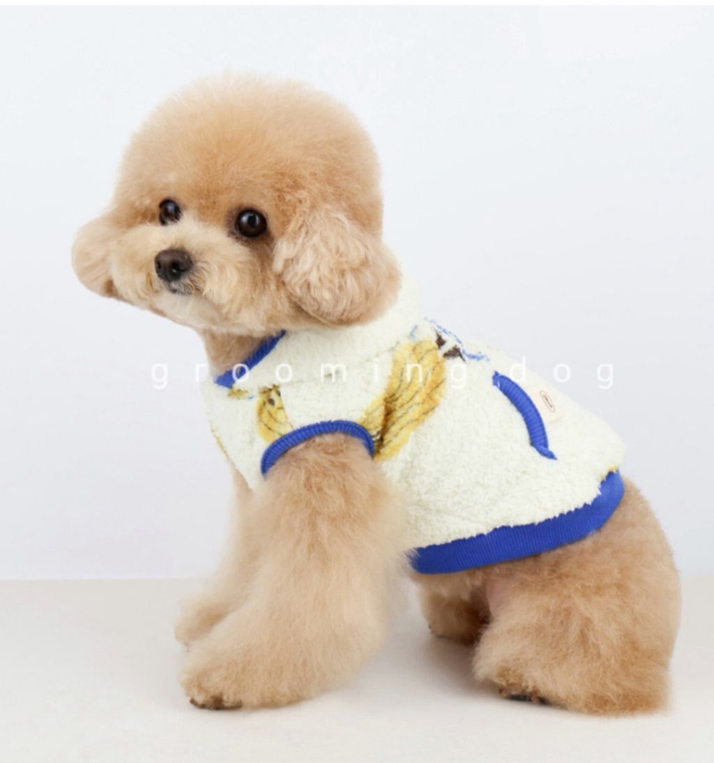 LINE_ALBUM_Grooming dog_251207_5