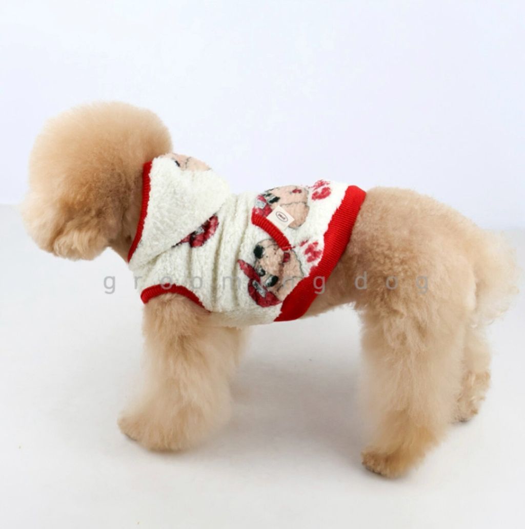 LINE_ALBUM_Grooming dog_251207_12