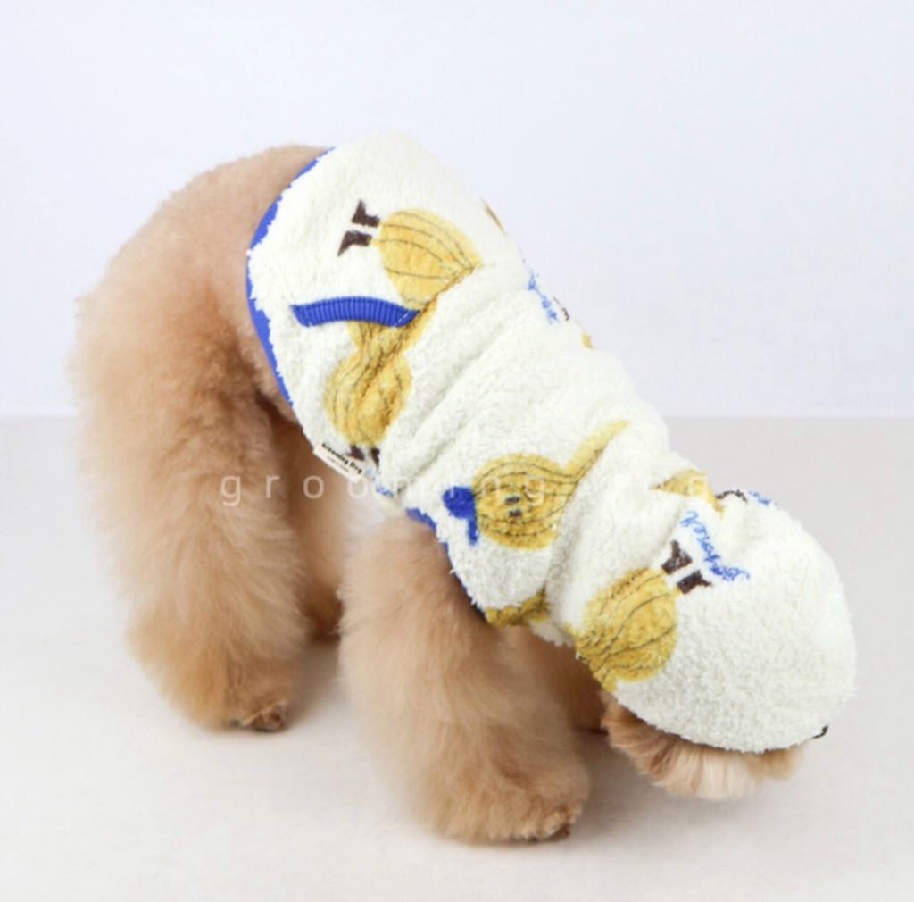 LINE_ALBUM_Grooming dog_251207_20