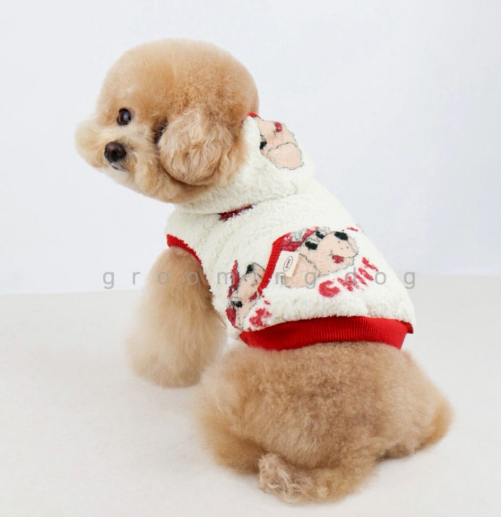 LINE_ALBUM_Grooming dog_251207_11