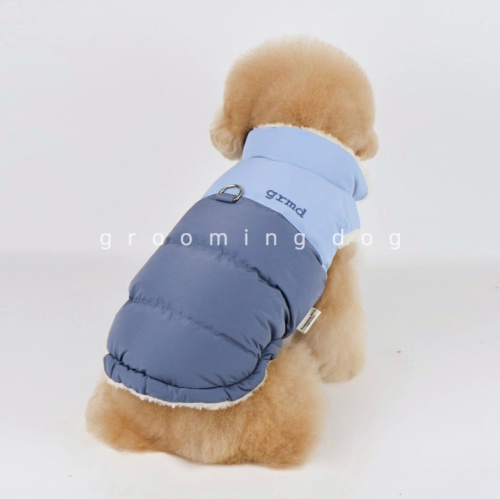 LINE_ALBUM_Grooming dog_251207_31