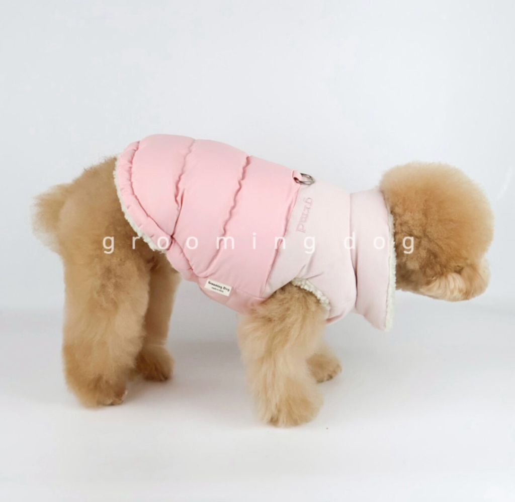 LINE_ALBUM_Grooming dog_251207_34