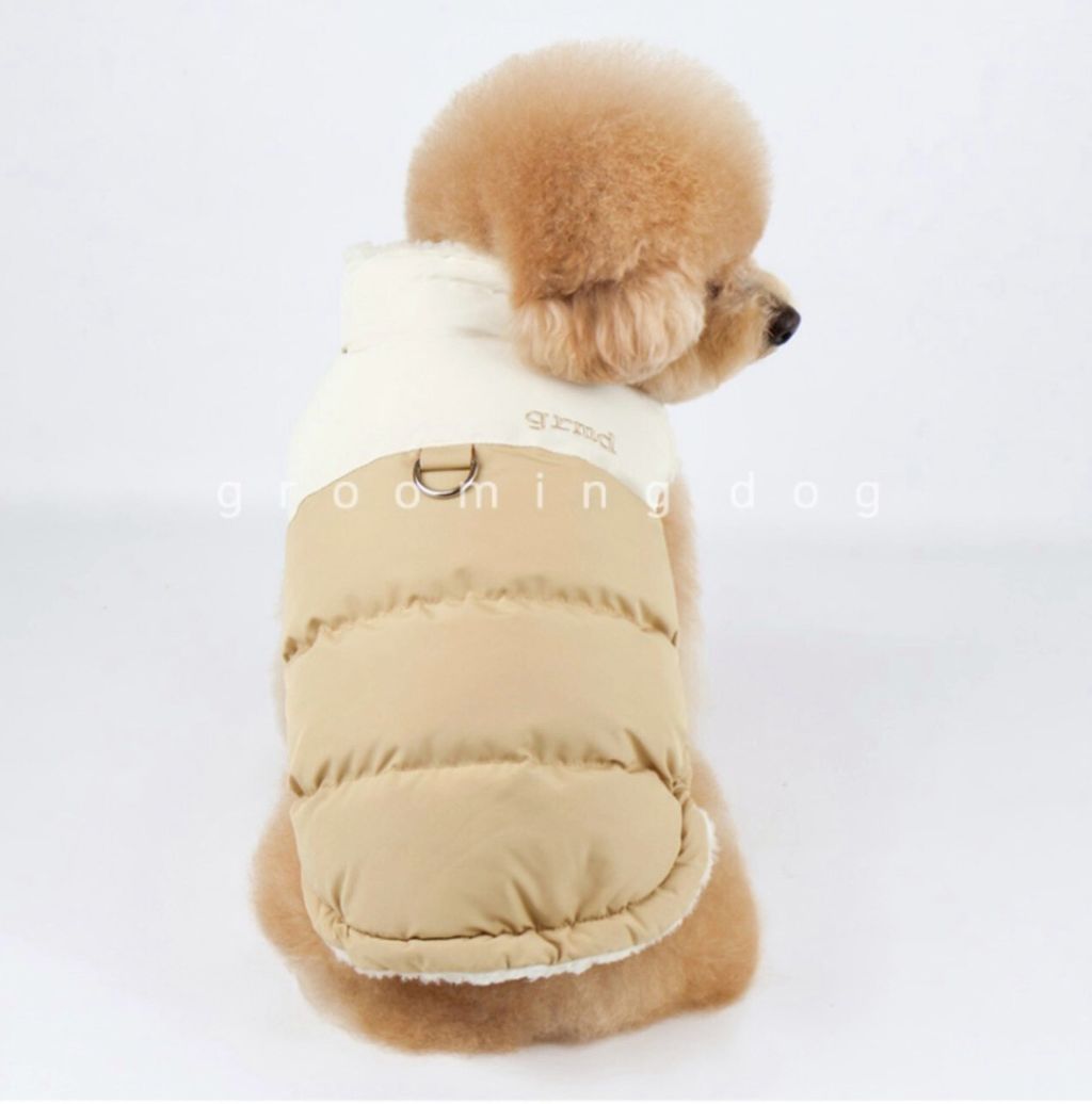 LINE_ALBUM_Grooming dog_251207_39