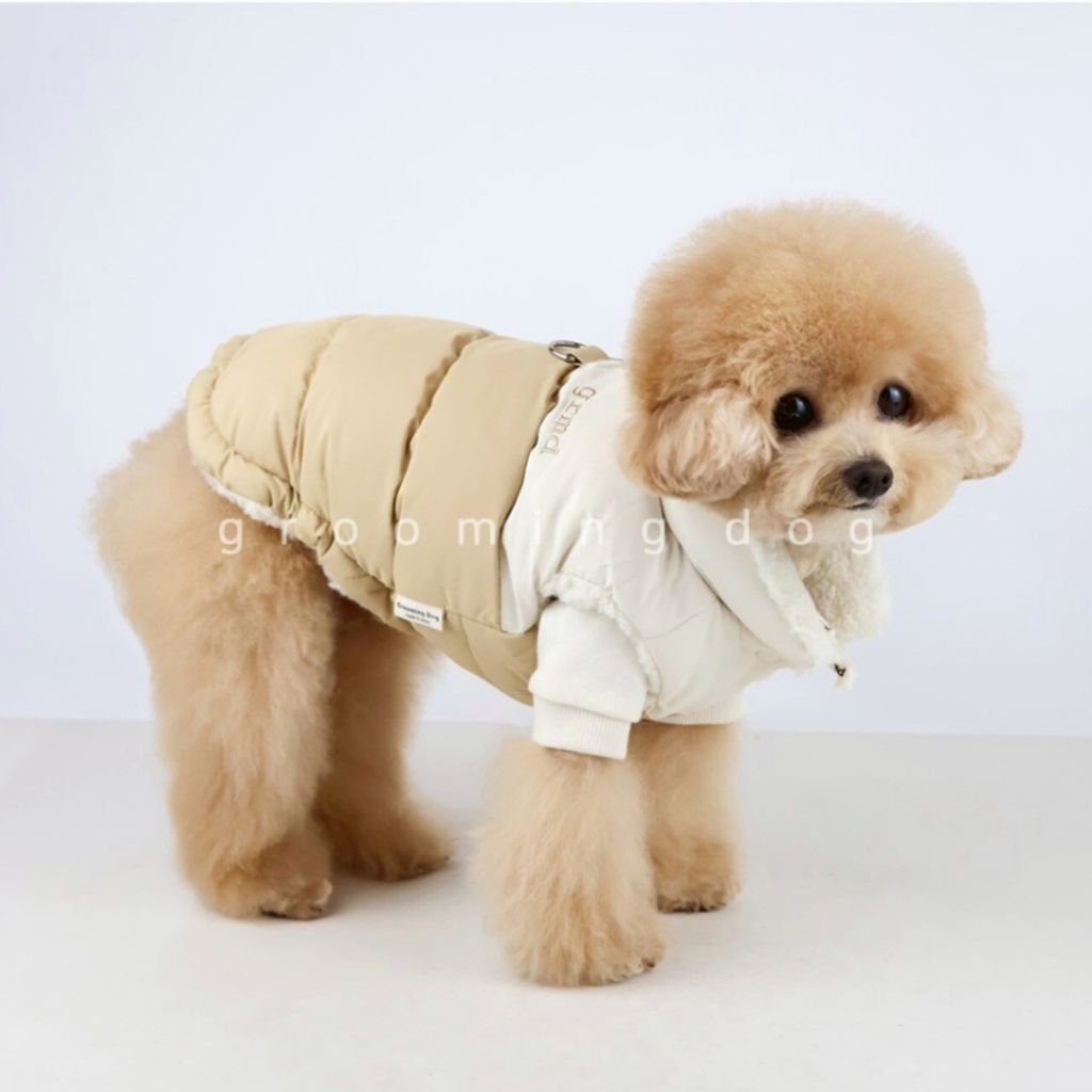 LINE_ALBUM_Grooming dog_251207_40