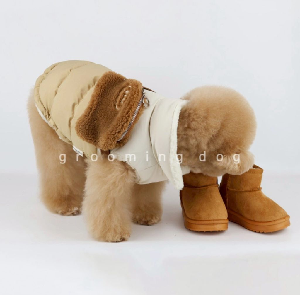 LINE_ALBUM_Grooming dog_251207_37