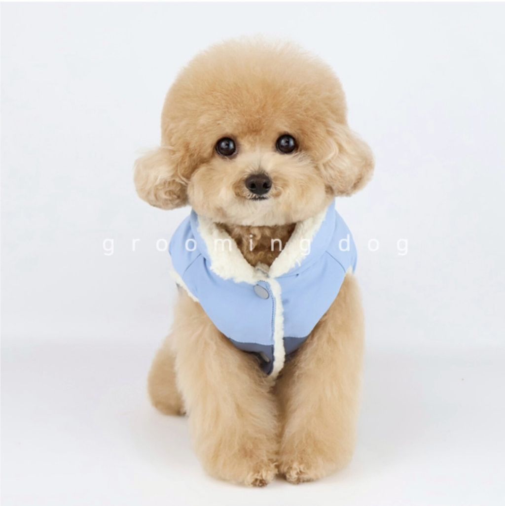 LINE_ALBUM_Grooming dog_251207_28