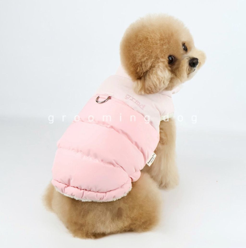 LINE_ALBUM_Grooming dog_251207_35