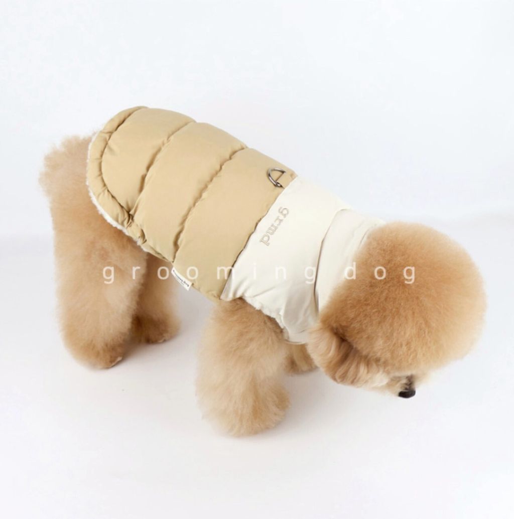 LINE_ALBUM_Grooming dog_251207_38