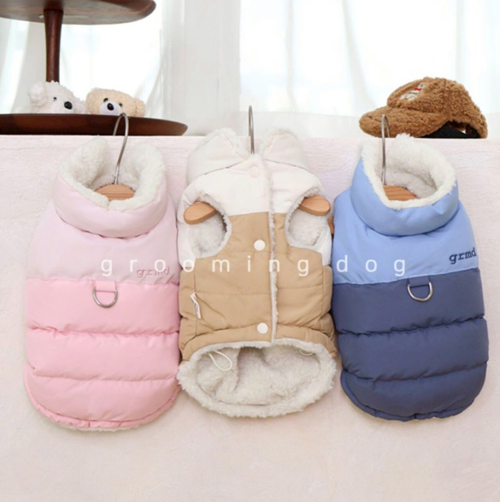 LINE_ALBUM_Grooming dog_251207_24