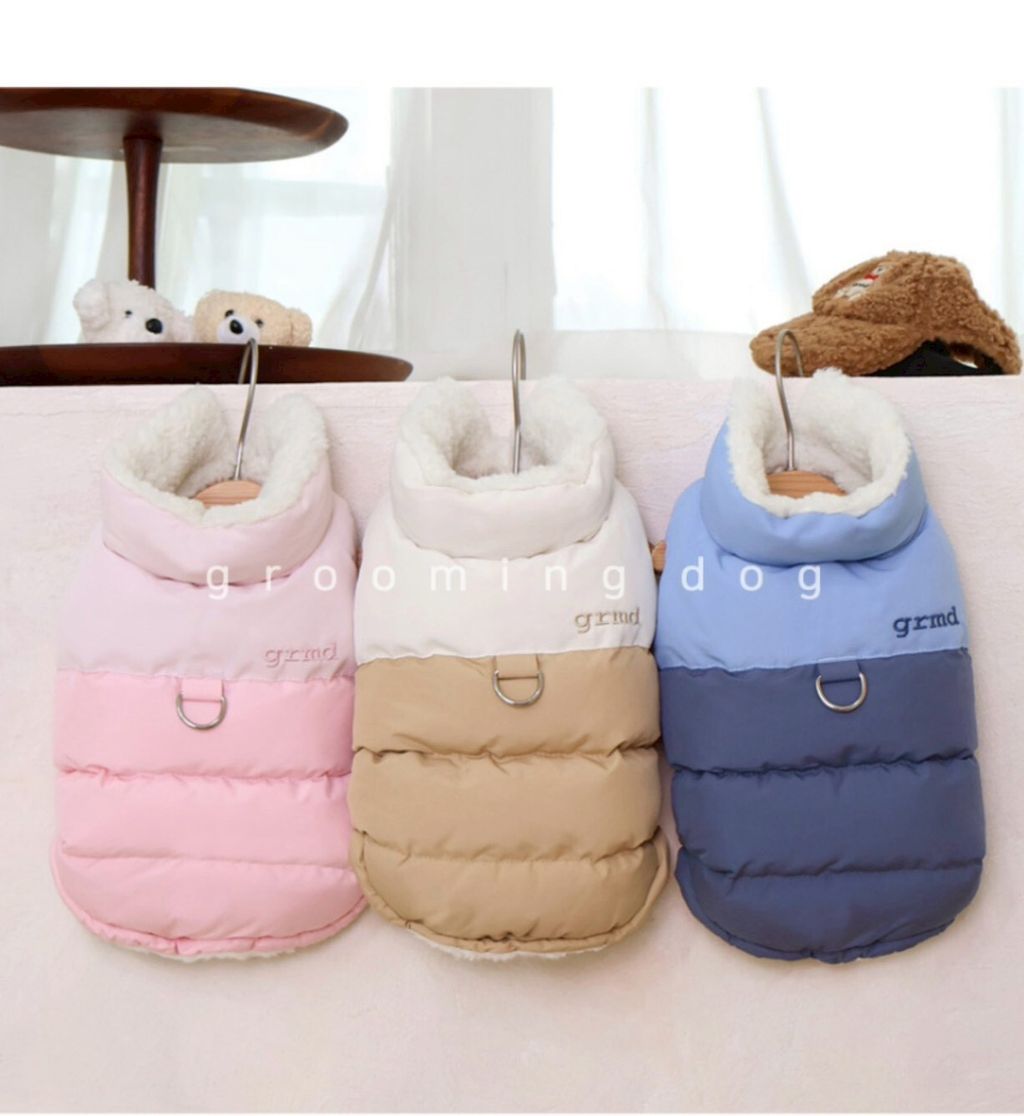 LINE_ALBUM_Grooming dog_251207_23