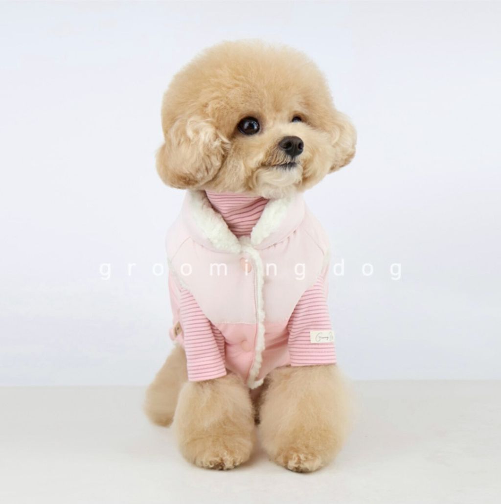 LINE_ALBUM_Grooming dog_251207_36