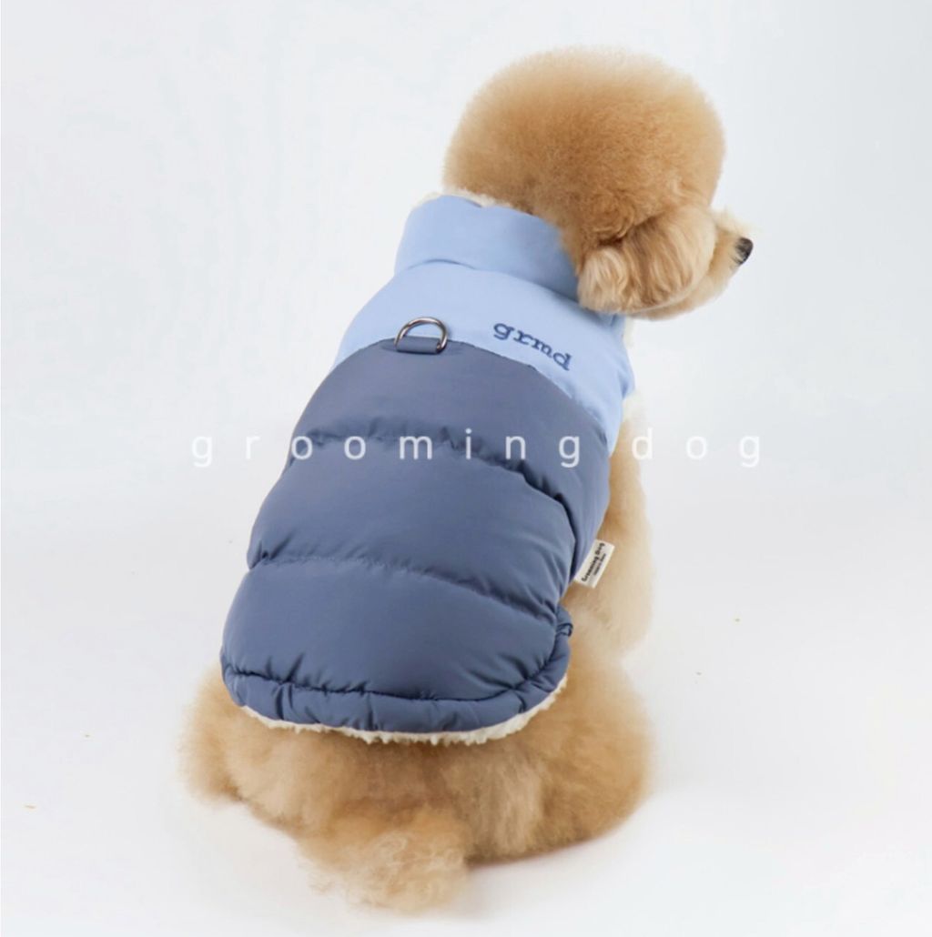 LINE_ALBUM_Grooming dog_251207_30