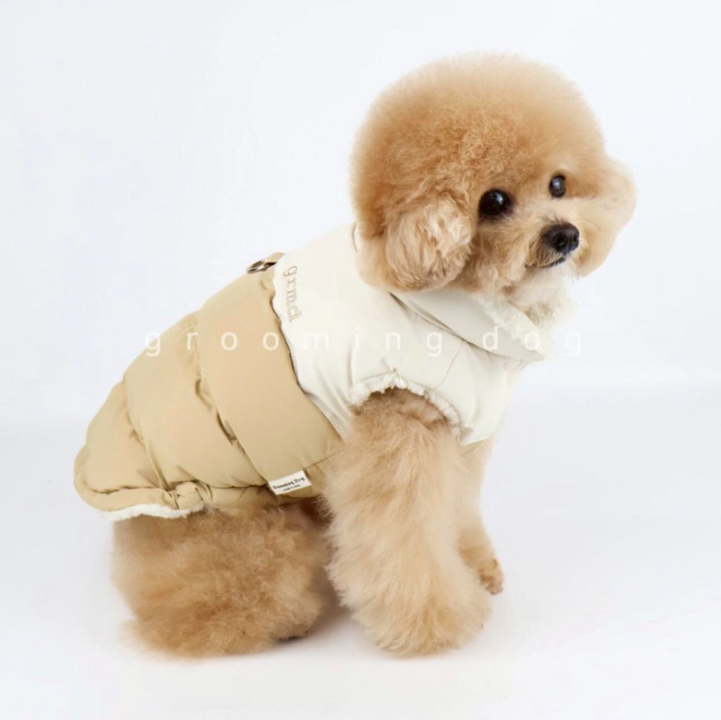 LINE_ALBUM_Grooming dog_251207_45