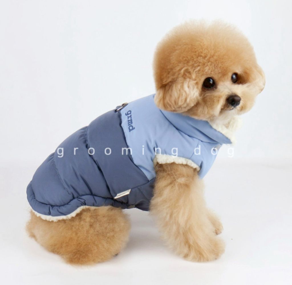 LINE_ALBUM_Grooming dog_251207_29