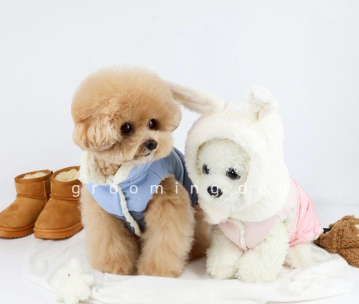 LINE_ALBUM_Grooming dog_251207_22