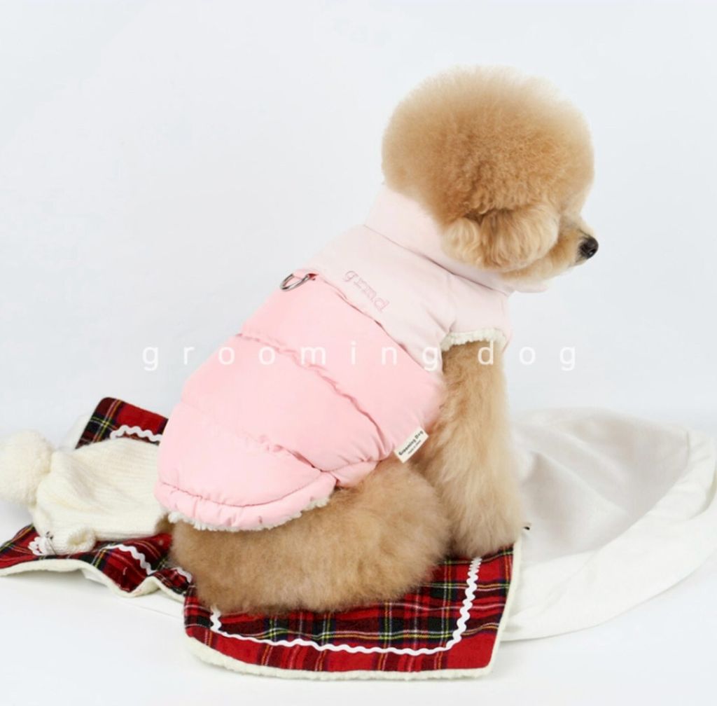 LINE_ALBUM_Grooming dog_251207_27