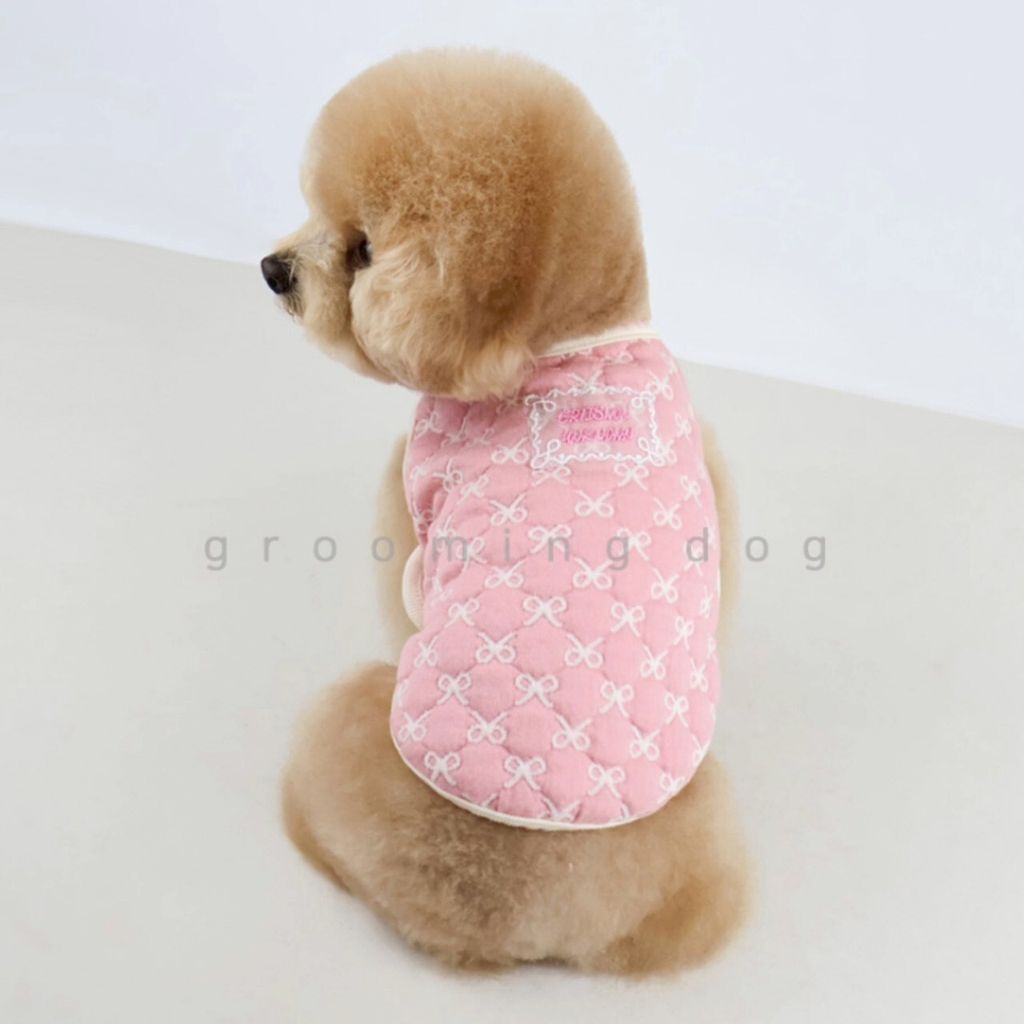 LINE_ALBUM_Grooming dog_251207_55