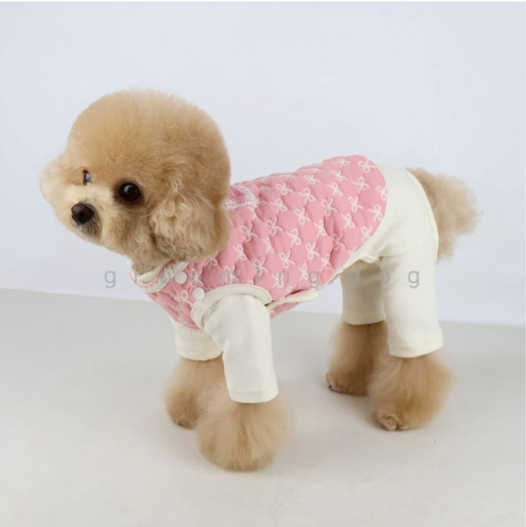 LINE_ALBUM_Grooming dog_251207_56