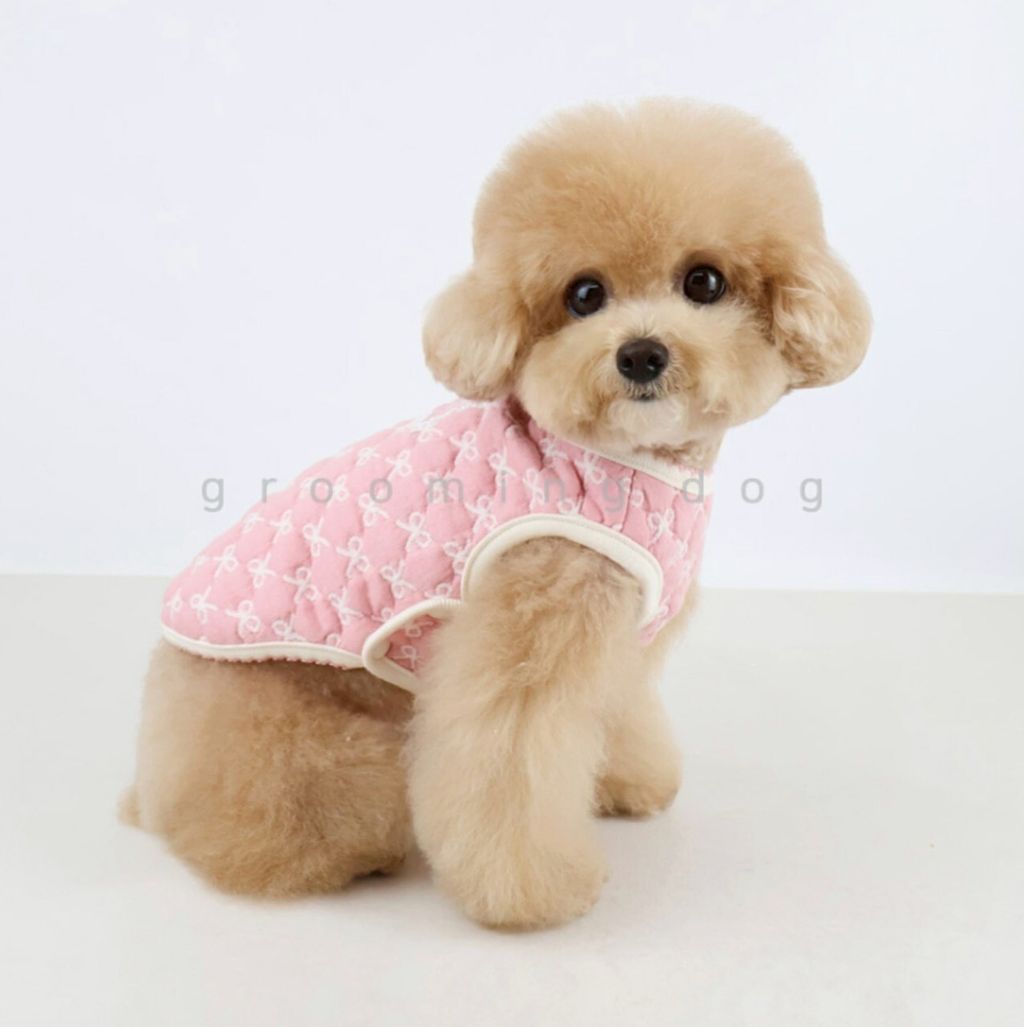 LINE_ALBUM_Grooming dog_251207_53