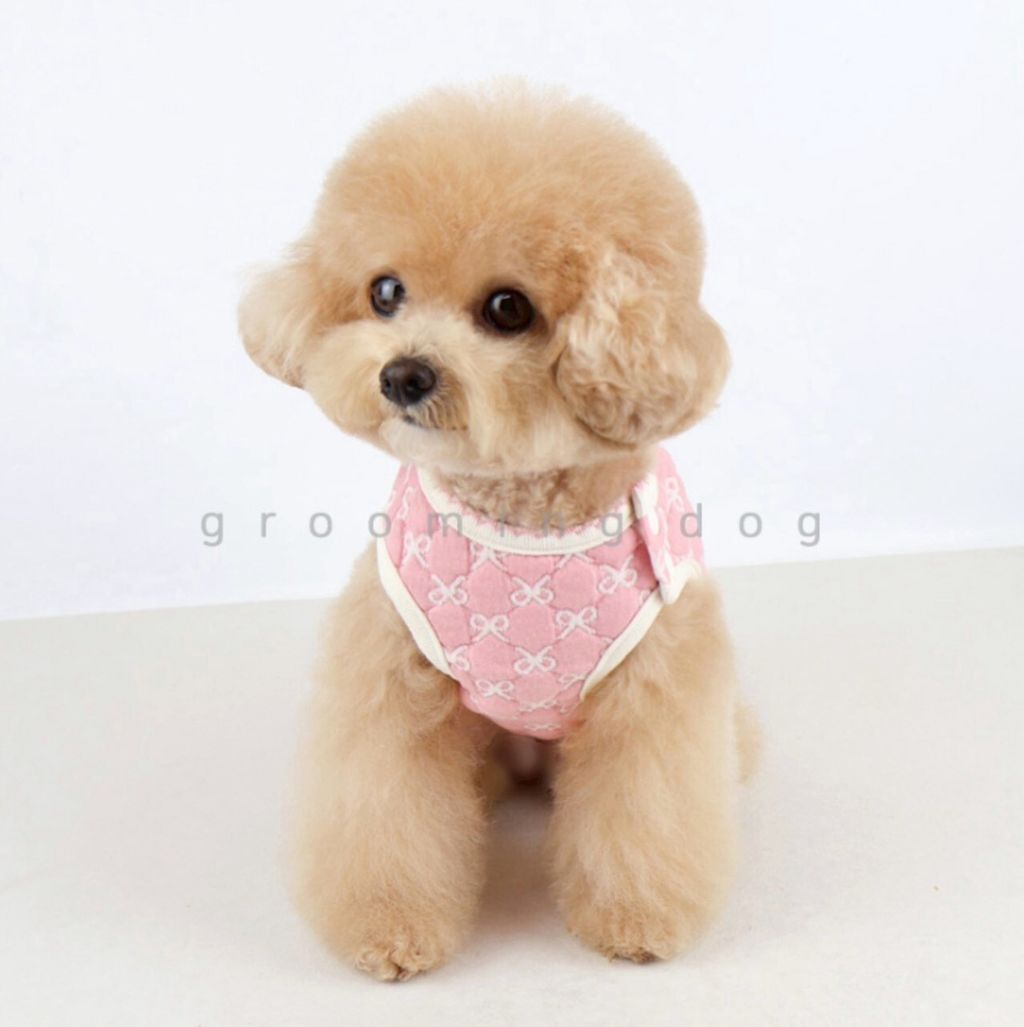 LINE_ALBUM_Grooming dog_251207_52