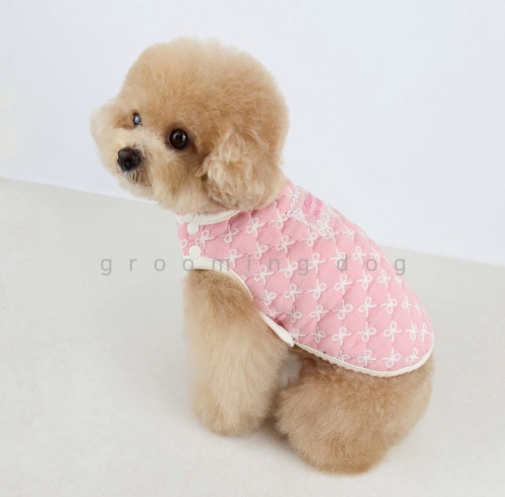 LINE_ALBUM_Grooming dog_251207_54