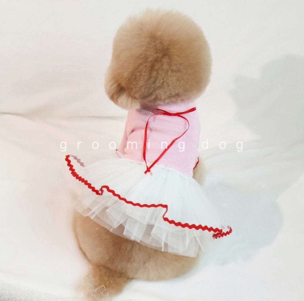 LINE_ALBUM_Grooming dog_251207_68