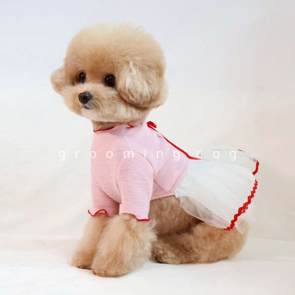 LINE_ALBUM_Grooming dog_251207_67