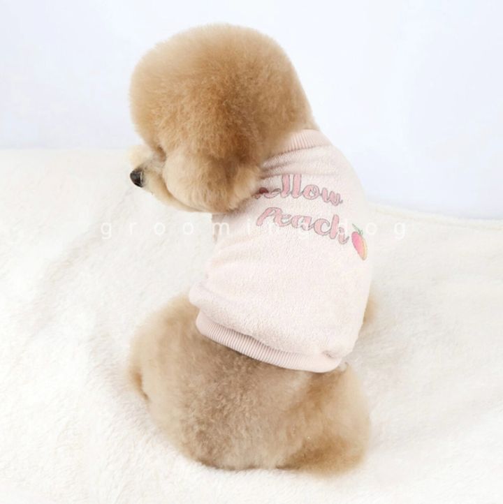 LINE_ALBUM_Grooming dog_251207_75